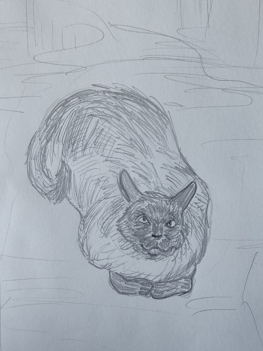 So enamored with the way Friedrich is shaped