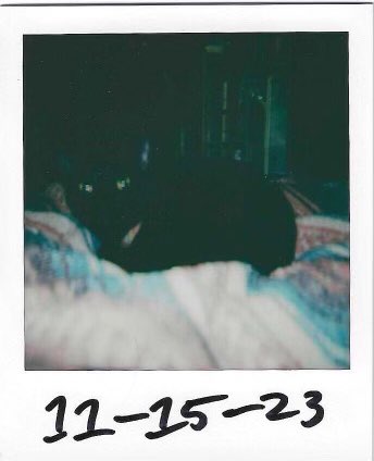 <a href="/banzibean/">garbanzo 💗</a>