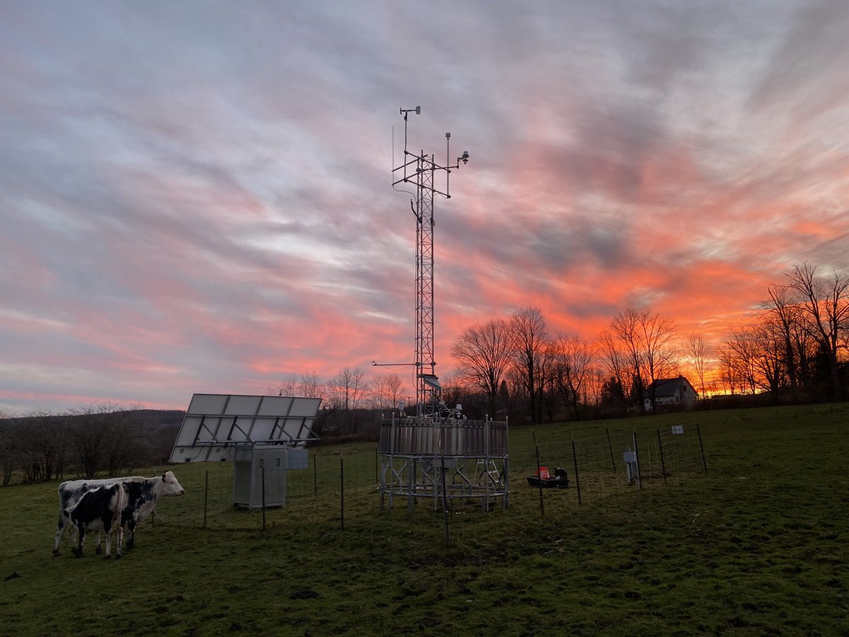 nysmesonet's tweet image. Beautiful sunset from the Cincinnatus in Cortland County!

The horse and cows stopped by to say hi and pose for the photos

#nysmesonet