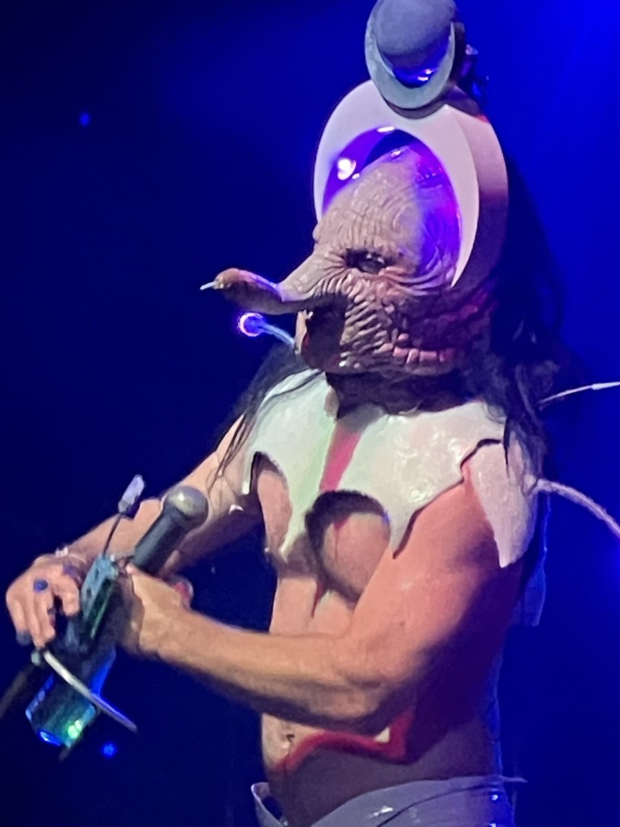 Daniel Bromfield tweet media