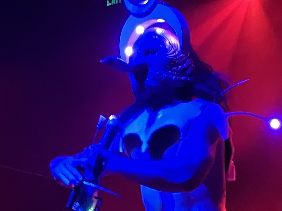 Daniel Bromfield tweet media