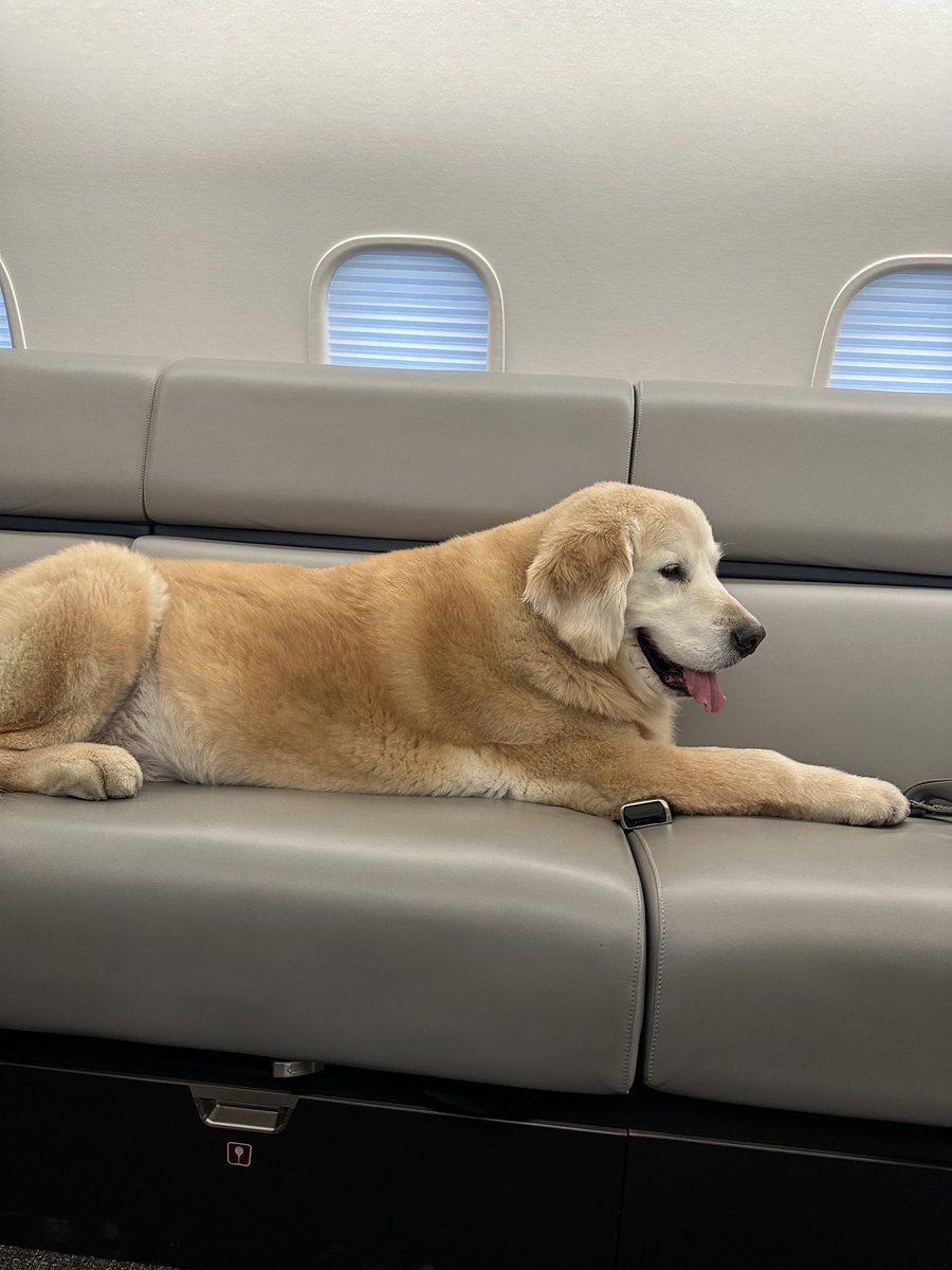 Okay. Big week of travel for Ben. He’s fired up to be back on the road. First stop ⁦<a href="/Bengals/">Cincinnati Bengals</a>⁩ at the ⁦<a href="/Ravens/">Baltimore Ravens</a>⁩ for ⁦<a href="/NFLonPrime/">NFL on Prime Video</a>⁩ Thursday pm.