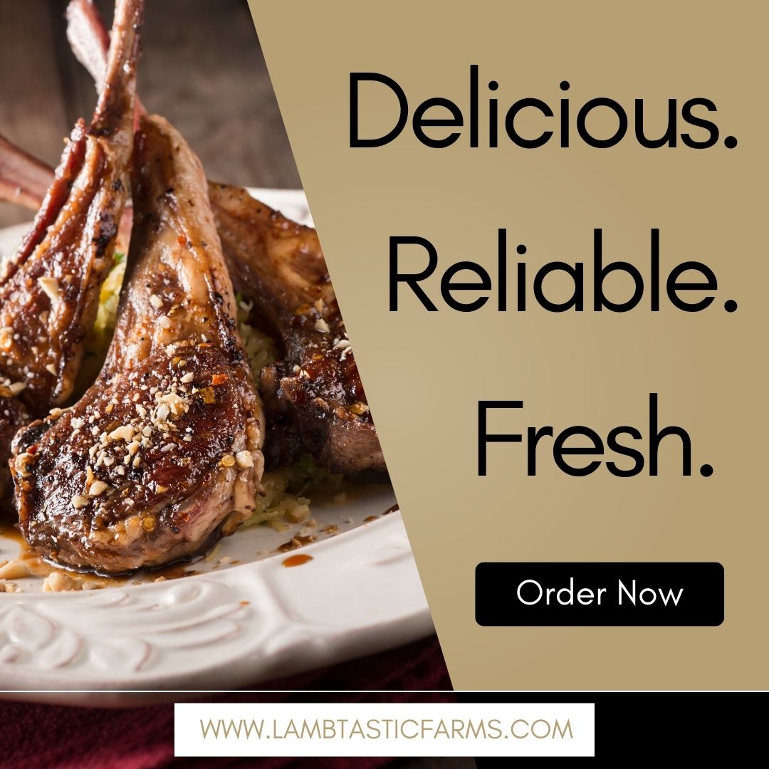 RayLambt's tweet photo. Lambtastic has the best lamb around, you can order online and have it delivered.
#lambtastic #lambtasticfarms #lambing #shepherd #foodlover #canadianbusiness #lethbridge #sheep #lambsofinstagram #meat #lambchops #alberta #lambingseason #shoplocal #lamb #farmlife #sheepfarm #food https://t.co/QNvGbyLEox