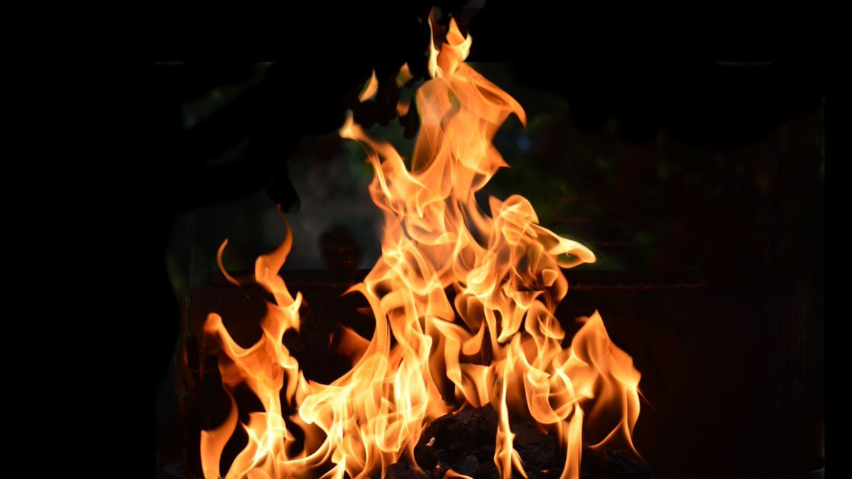 Outforia tweet media