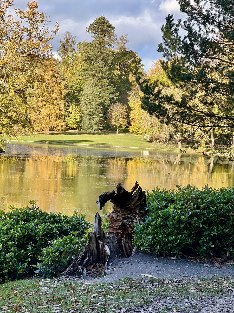 Arthur Schnauzer tweet media