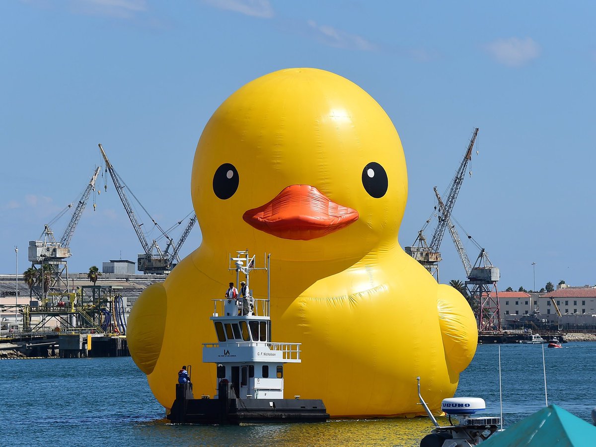sportsbattleapp's tweet photo. BIG CHANGES COMING TO SPORTSBATTLE 🐥🐥

Stay tuned for more updates 👀

#TheQuackening https://t.co/KfsY7RdNHD