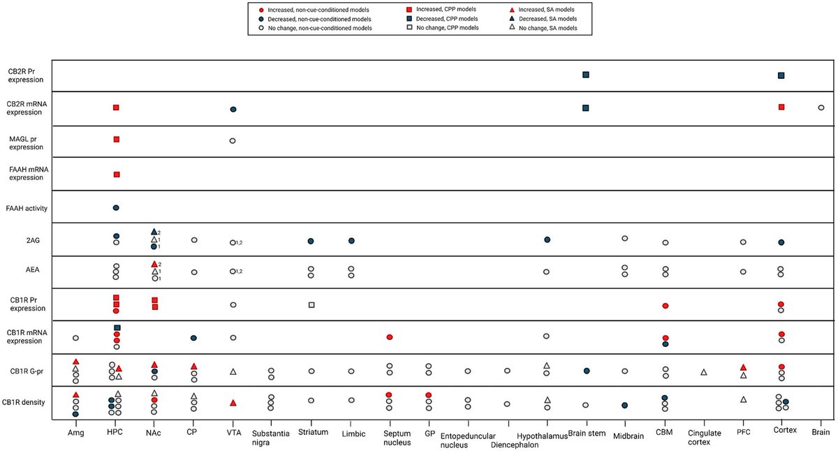 anahitabassir's tweet image. Is the #endocannabinoid system altered in animal models of #opioid exposure? This graph summarizes all the evidence. Recently published @PsychiatryResJ.