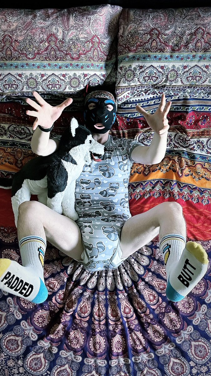 KitWildeXXX's tweet photo. This Trash Panda needs uppies, changies and snugs…. Not necessarily in that order 🫣 https://t.co/vklzTa9e1b