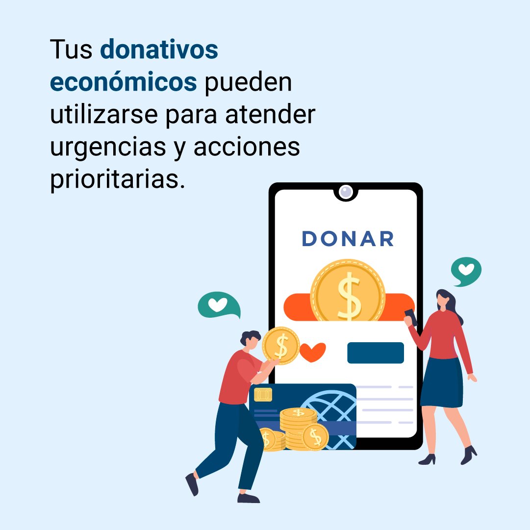 Cemefi's tweet image. 🚨 #GuerreroNosNecesita
Conoce organizaciones confiables y acreditadas que están recibiendo #DonativosEconómicos y están apoyando en campo. #MiremosPorGuerrero #FuerzaGuerrero #UnidosPorGuerrero #EstoyConGuerrero
🧡 cemefi.org/campana-de-rec…