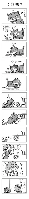 臭い靴下♬
#こんなん描いてます #自作まんが #漫画 
#猫まんが #4コママンガ #NEKO3 