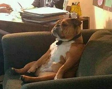 Cuando estás preocupado por no estar estudiando pero sigues sin ponerte a estudiar