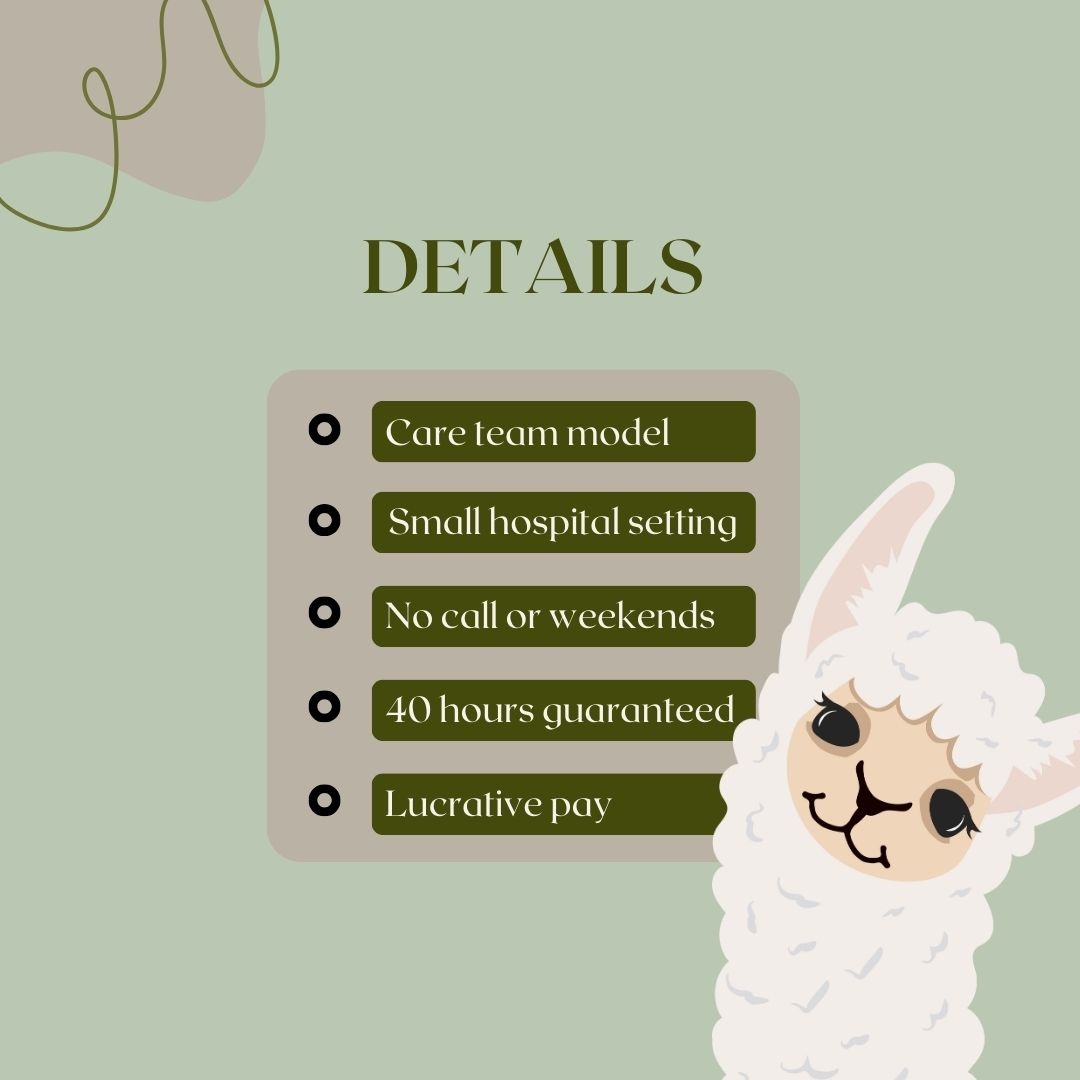 RadarHealth's tweet image. Pet alpacas in Lehighton, PA with this CRNA opening! This position offers a care team model in a small hospital setting, no call or weekends, 40 hours guaranteed, and lucrative pay. Contact Jermaine Swift for more details! #crna #anesthesia #anesthesiologist #healthcare