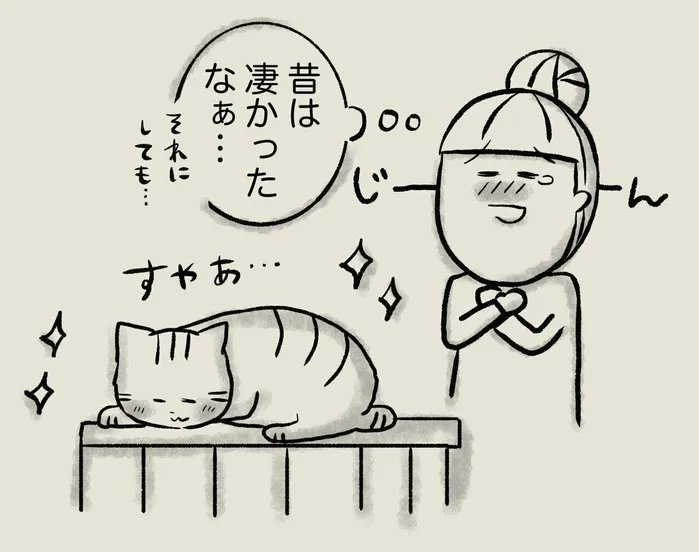 警戒心MAXな新参猫とのんびり寛ぐ元野良の先輩猫を見比べ、愛情があれば猫も変わることを実感【連載】交通事故にあった猫を拾いました#137|ねこのきもちWEB MAGAZINE