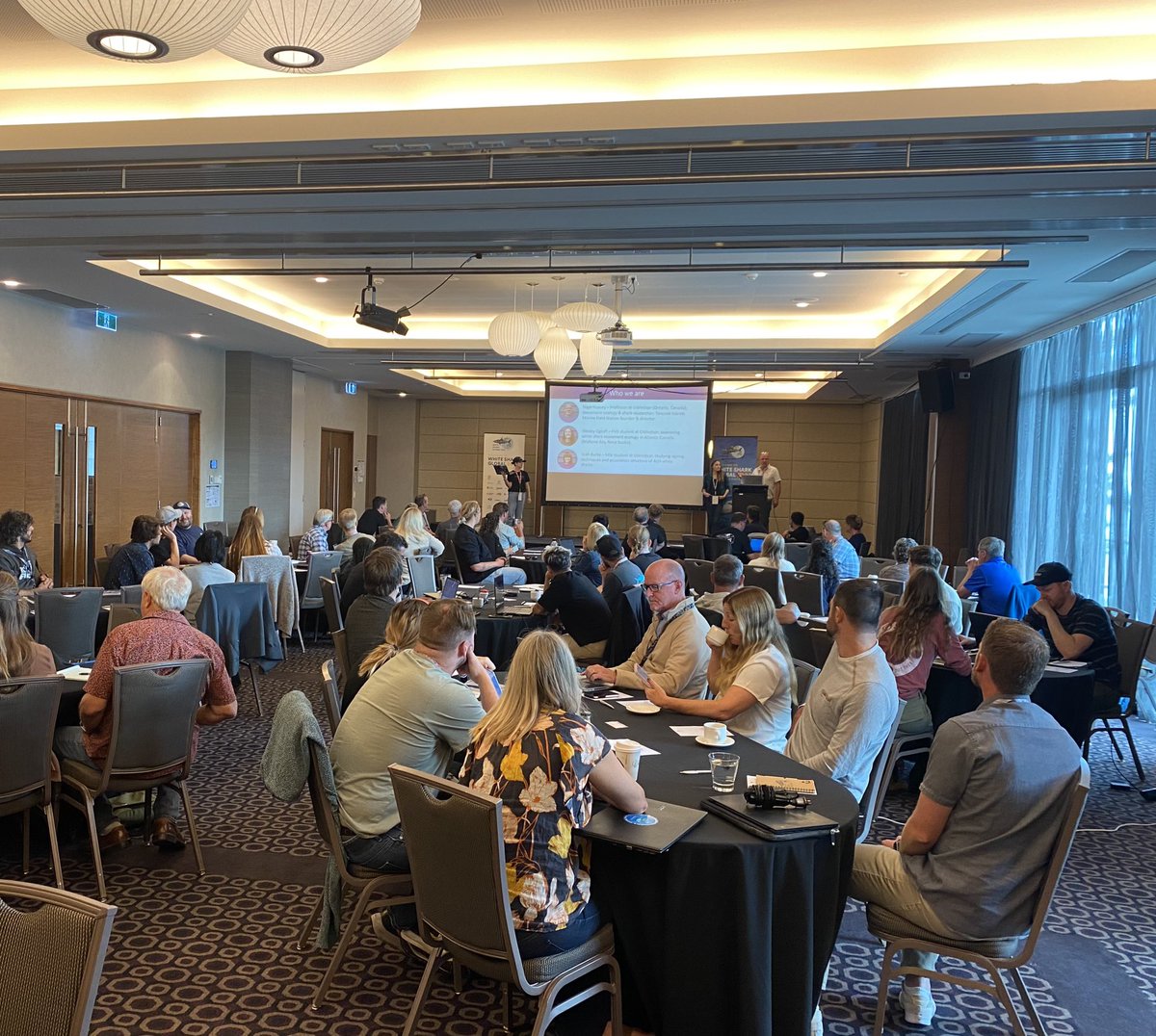 White Sharks Global (@whitesharksglob) on Twitter photo In the Lincoln room this morning, Dr Nigel Hussey <a href="/NEHmarine/">Nigel Hussey</a>, Teah Burke <a href="/underwater_teah/">Teah Burke</a> & Wesley Olgoff are leading a workshop on ‘Synthesising global white shark satellite telemetry studies to establish research priorities’ #WhiteSharksGlobal2023 In the Lincoln room this morning, Dr Nigel Hussey <a href="/NEHmarine/">Nigel Hussey</a>, Teah Burke <a href="/underwater_teah/">Teah Burke</a> & Wesley Olgoff are leading a workshop on ‘Synthesising global white shark satellite telemetry studies to establish research priorities’ #WhiteSharksGlobal2023
