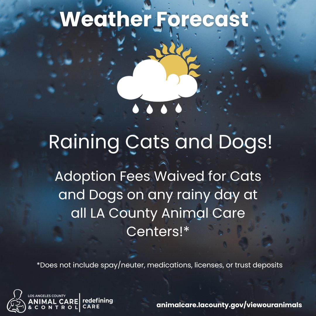 Adopters who brave the rain deserve recognition, and a promo! Come see us on any rainy day and we’ll cover the adoption fee for your new best friend 🌧️ 🐾