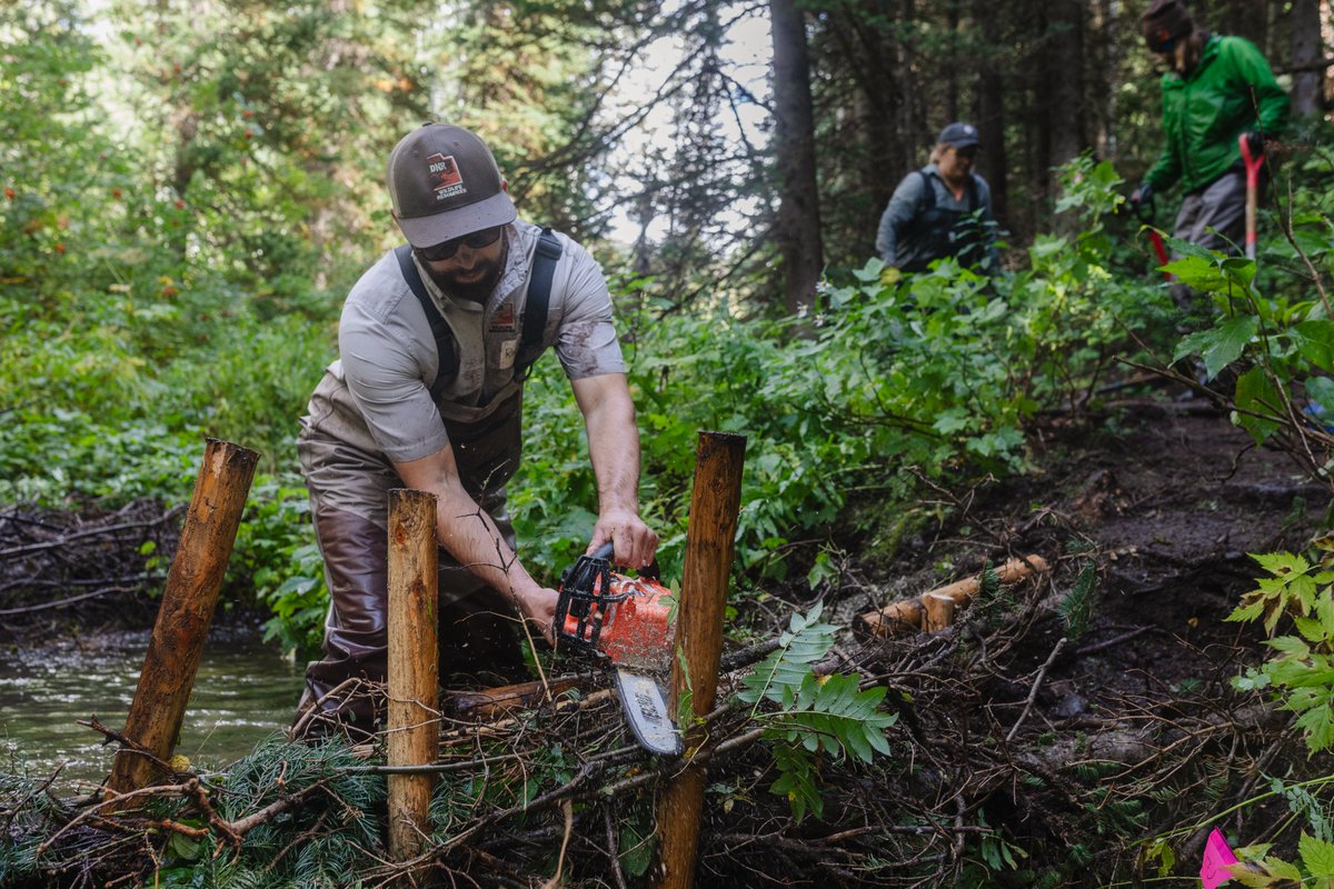 Over the past fiscal year, <a href="/UtahWRI/">Utah's Watershed Restoration Initiative (WRI)</a> helped improve a whopping total of 148,883 acres of high-priority watersheds and habitats throughout the state. 🎉 Learn more about the projects completed in 2022-23 and how they help Utah's wildlife: bit.ly/3G2995E