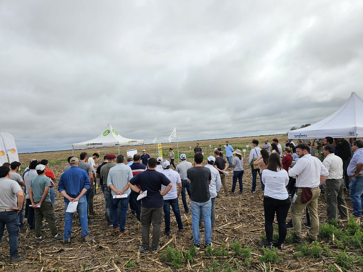 AgroTester I&D tweet media