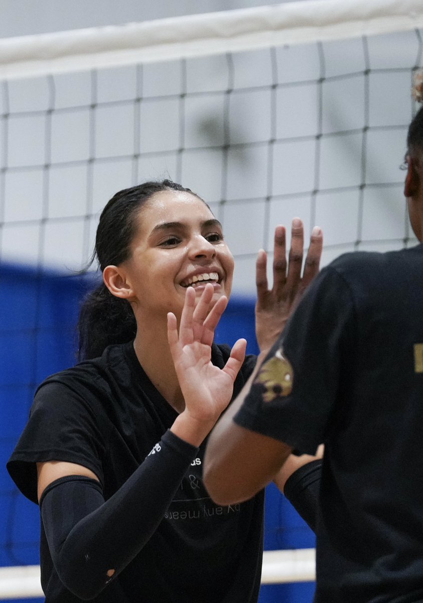 NCAA Women's Volleyball tweet media