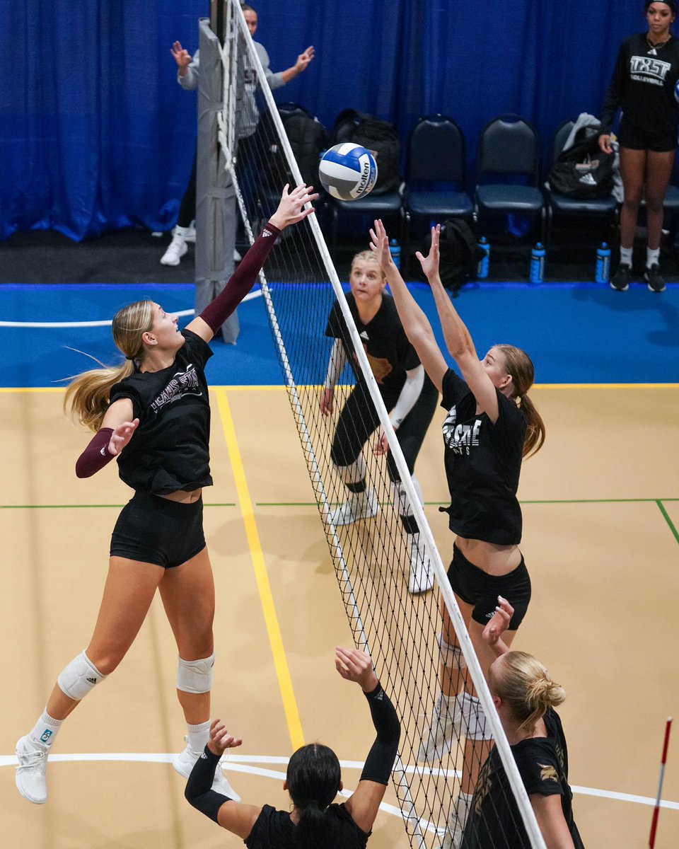 NCAA Women's Volleyball tweet media
