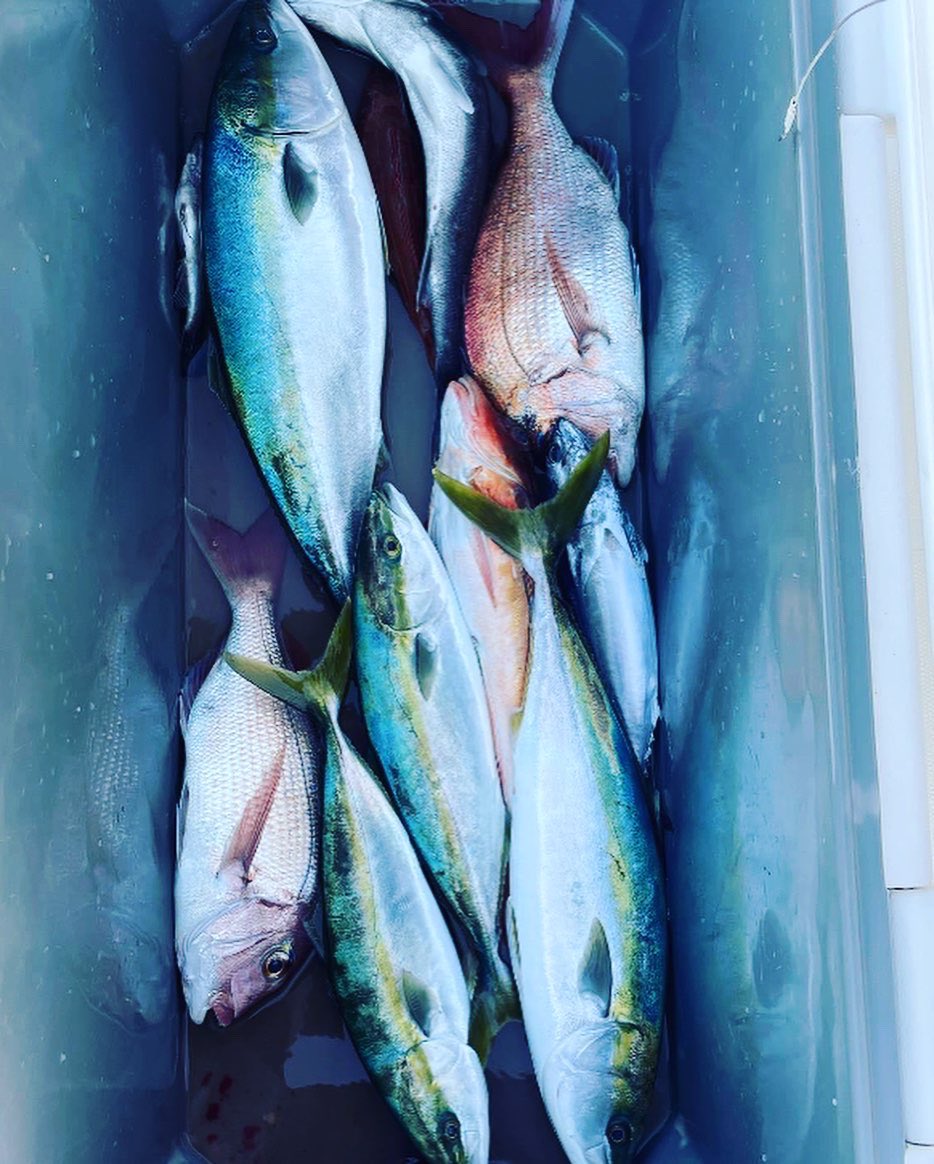 GoodgoOrg's tweet photo. 宮城GoodGo 28ft
11月15日

＃宮城　#東北　#GoodGo #釣船　＃グッドゴー
#Fishing_Esperanza 
#フィッシングエスペランサ
#タイラバ　＃ジギング　#塩釜　#wonmo #wonmomarine ＃タイ　＃スイッチ　#オレンジ　＃青物 https://t.co/jZDavxxZ2o