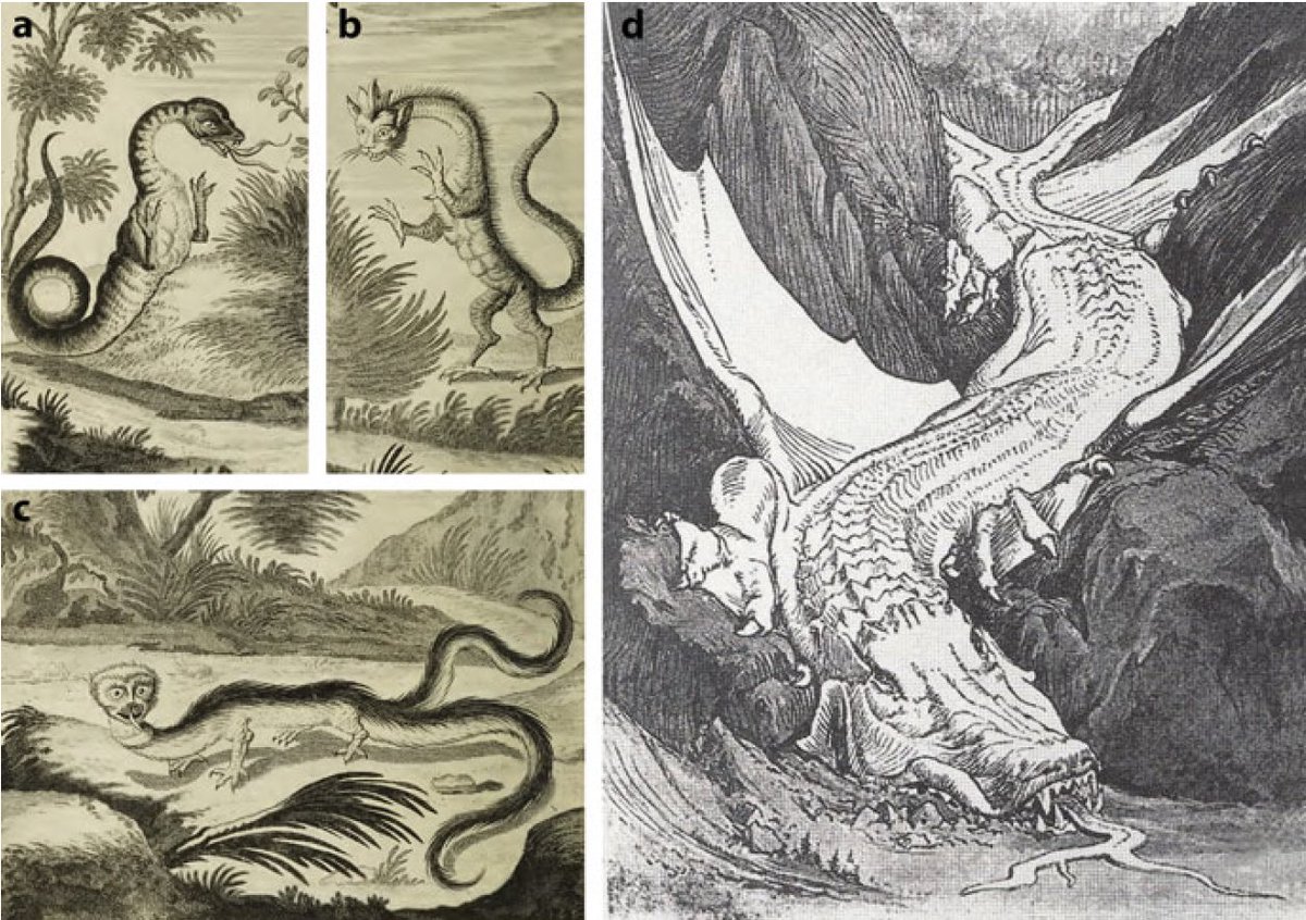 Olivier Dangles tweet media