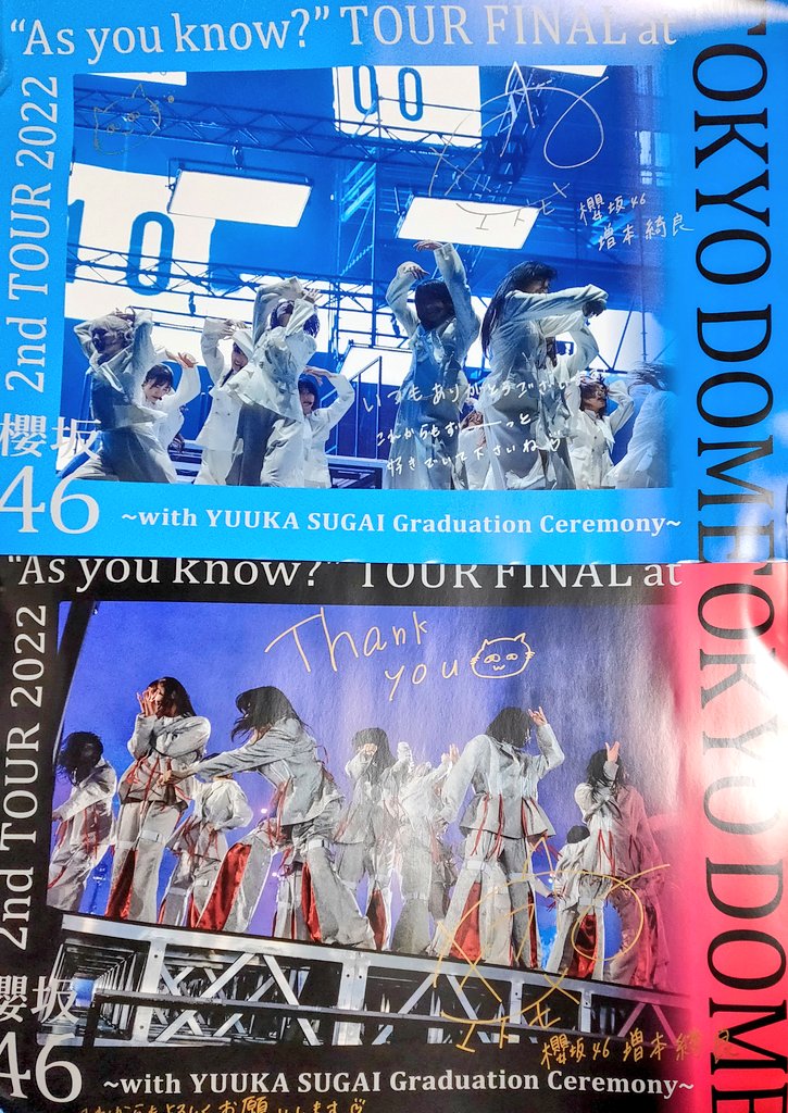 限定販売】 櫻坂46 縁日ブース増本綺良直筆サインピクチャーボート