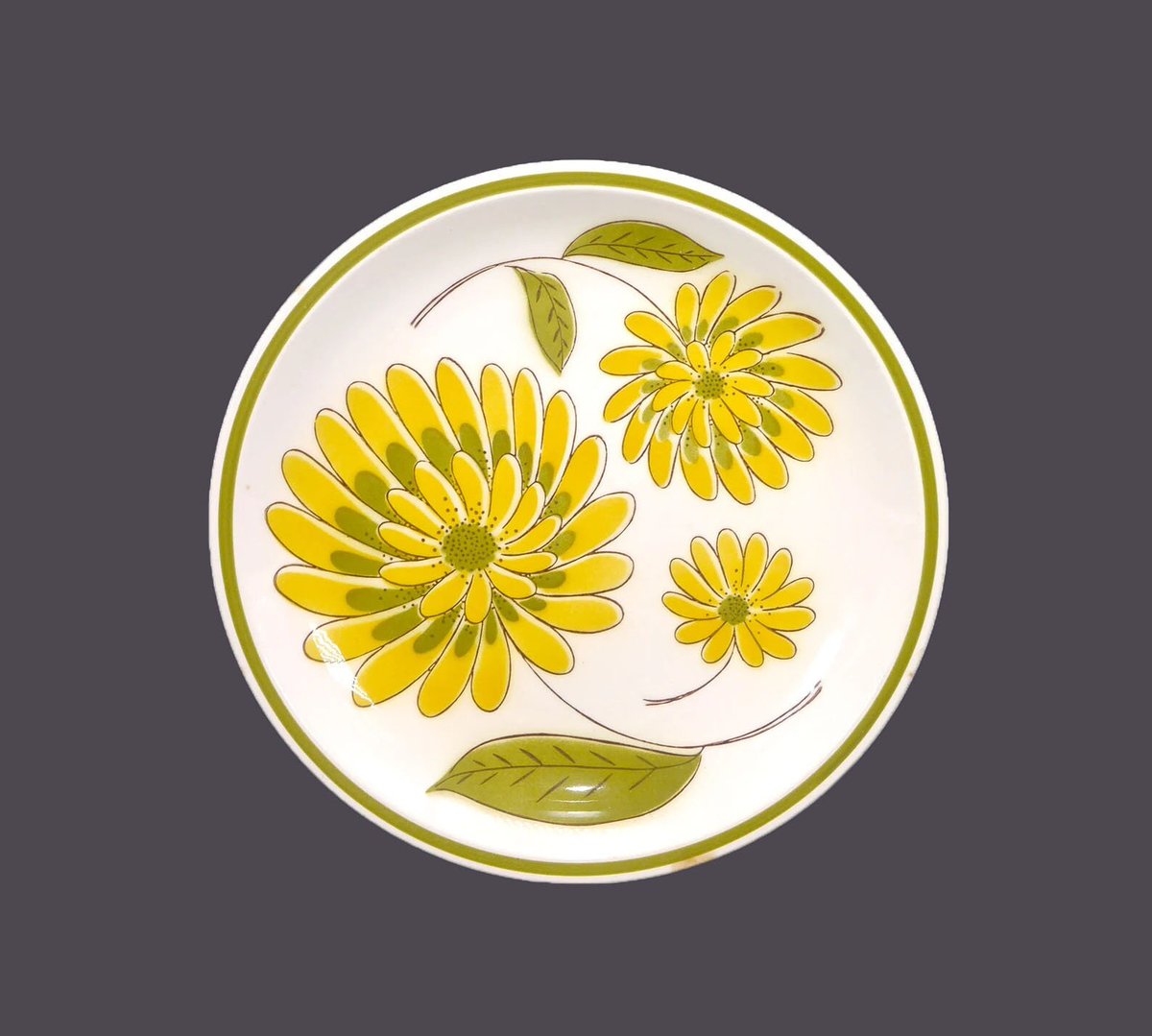 G97816960Girl's tweet photo. Mikasa Tampa retro flower-power large, stoneware dinner plate. Cera-Stone stoneware made in Japan. https://t.co/YI7K0hBZsG via @Etsy #BuyfromGroovy #antiqueshop #dinnerware #tableware #stoneware #JapanStoneware #1970skitchen #flowerpower #retrotableware #Mikasa #MikasaTampa #EtsySellers