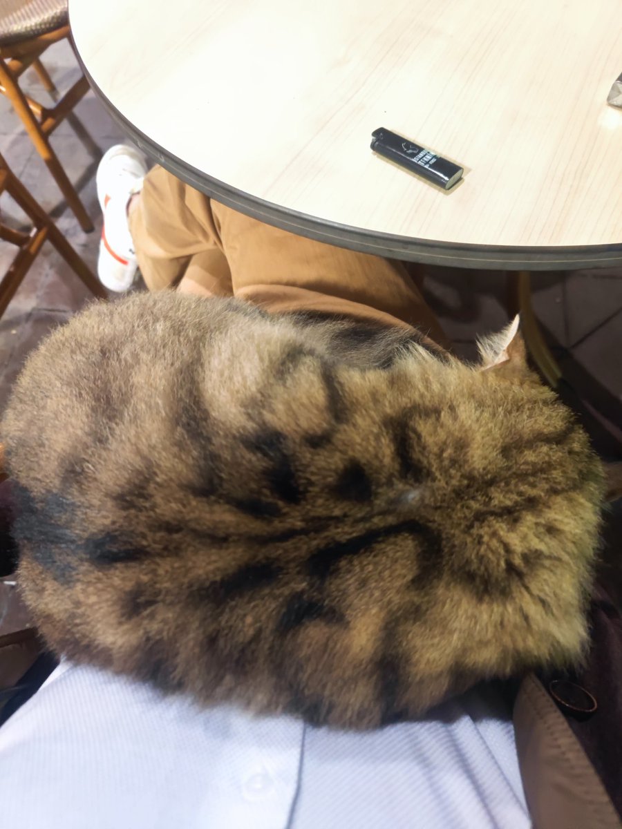 gitmiyo la 10 dk oldu