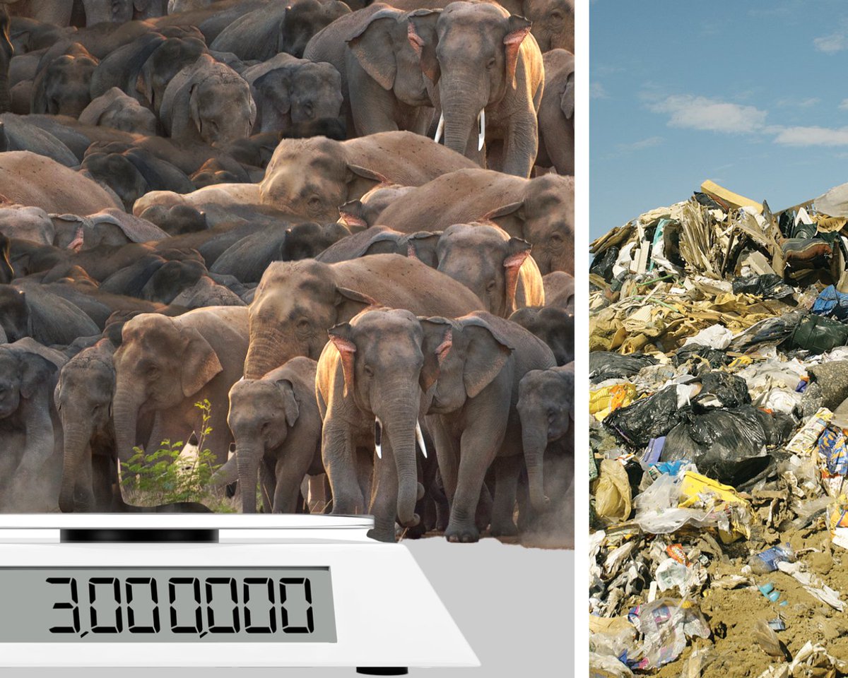 if you can imagine 500,000 elephants on a scale...🐘 then you can visualize 3 million tons. (that's the amount of trash Iowans put in the landfill EVERY YEAR - and 70% of it could be recycled, reused or composted) #AmericaRecyclesDay ♻