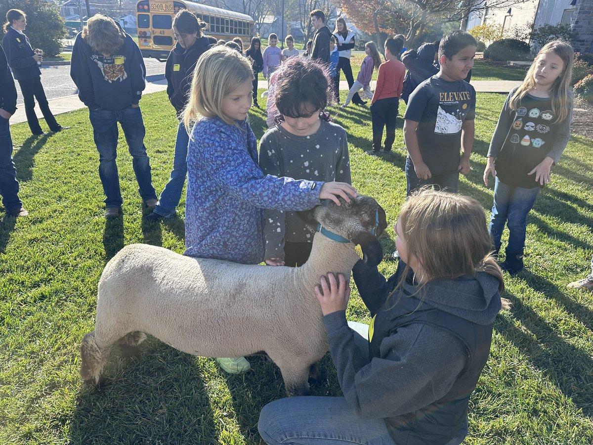 Agriculture in the Classroom day 3! Thanks <a href="/ManorFFA/">Manor FFA</a> for teaching us about goats, sheep, and poultry!! <a href="/PMLearns/">Penn Manor Learning</a> <a href="/pennmanor/">Penn Manor SD</a>