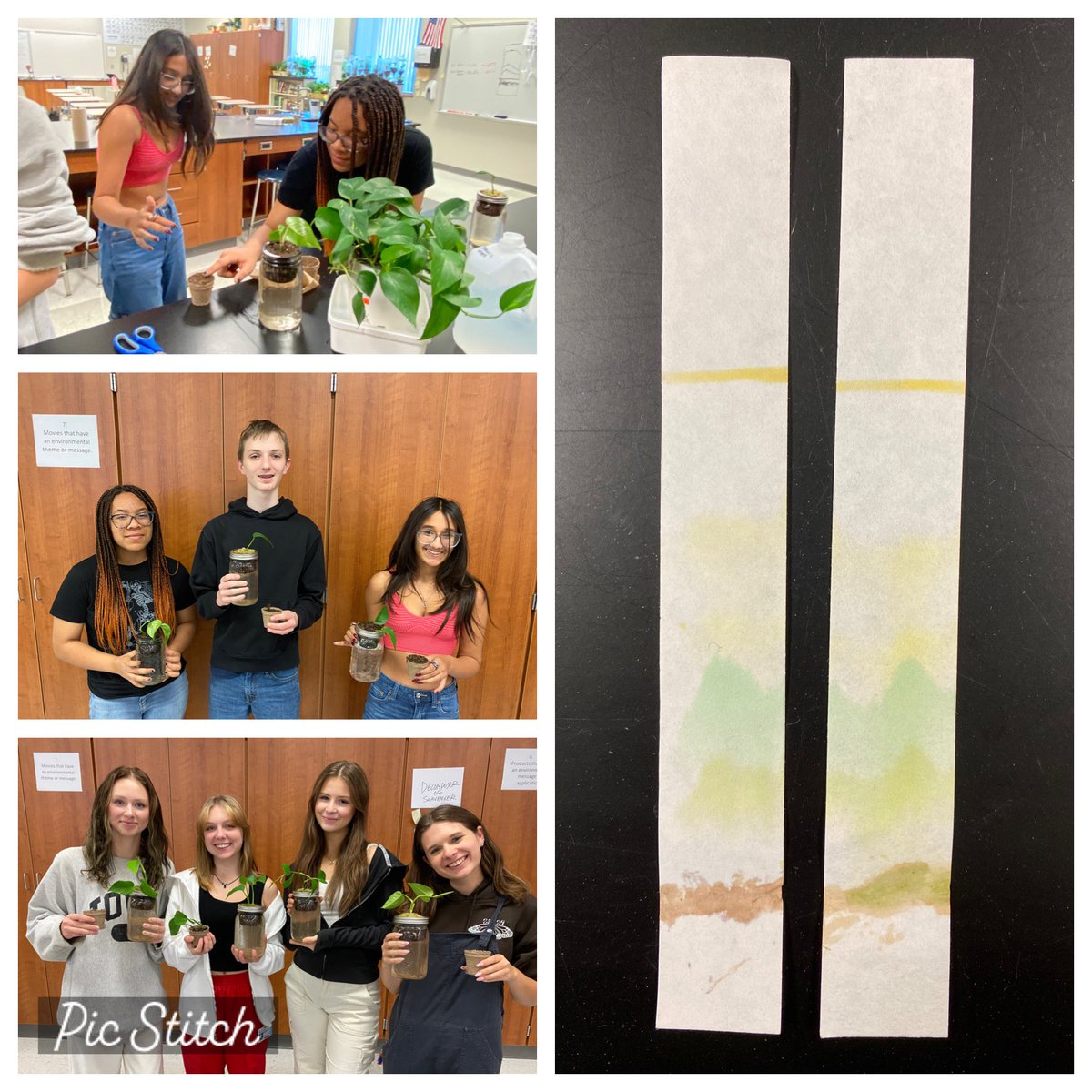 All about plants 🪴 in Science Club today <a href="/PLSHSTitans/">Papillion La Vista South High School</a>