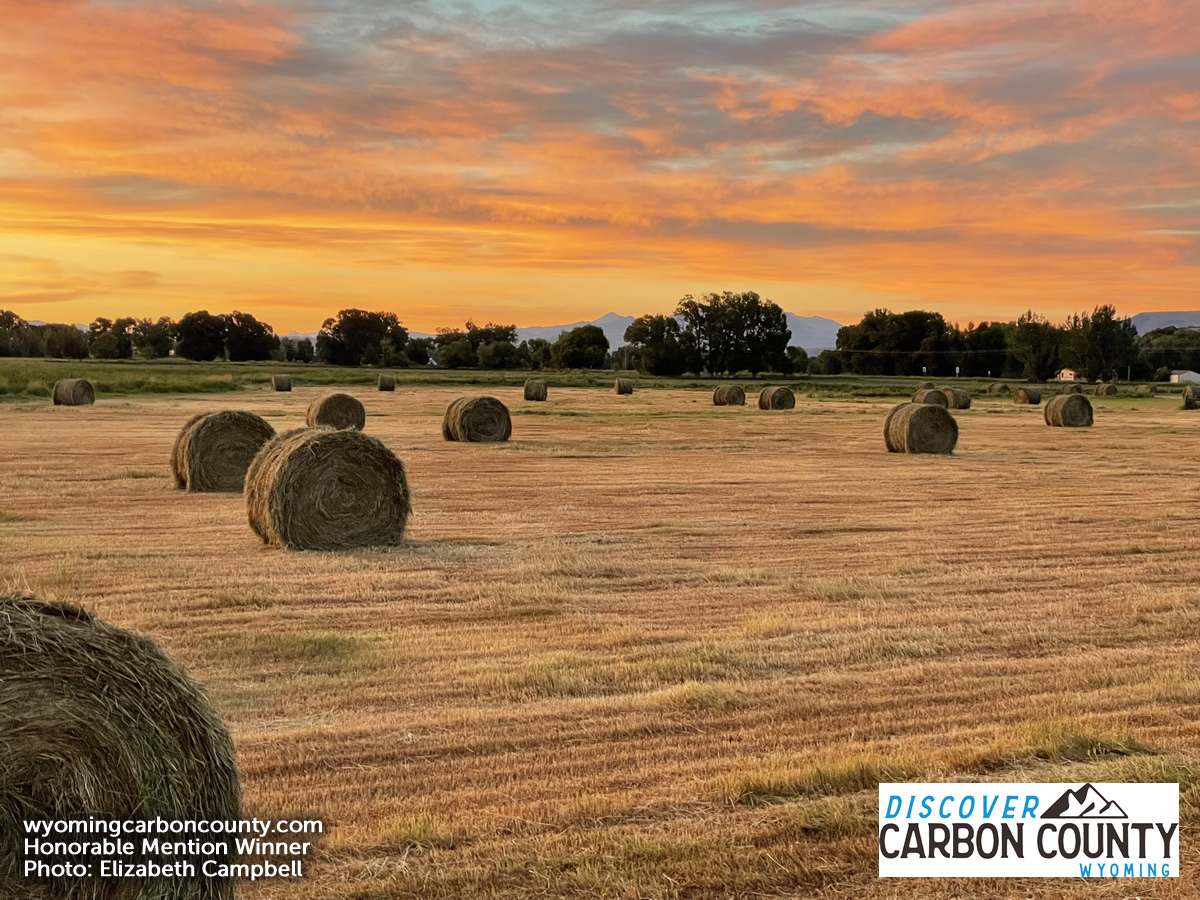 Discover Carbon County, WY tweet media