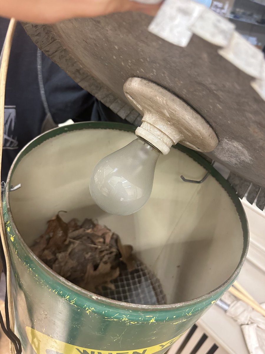 Check this 1940s relic! A berlese funnel made from an old pesticide can welded onto lead sheet metal. Thanks, @amnh for making our #entomology class also a history lesson!