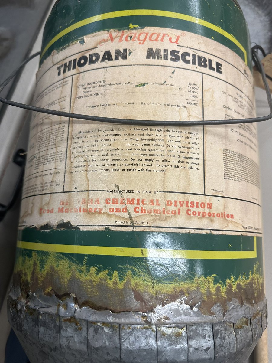 Dr. Bekka Brodie tweet media