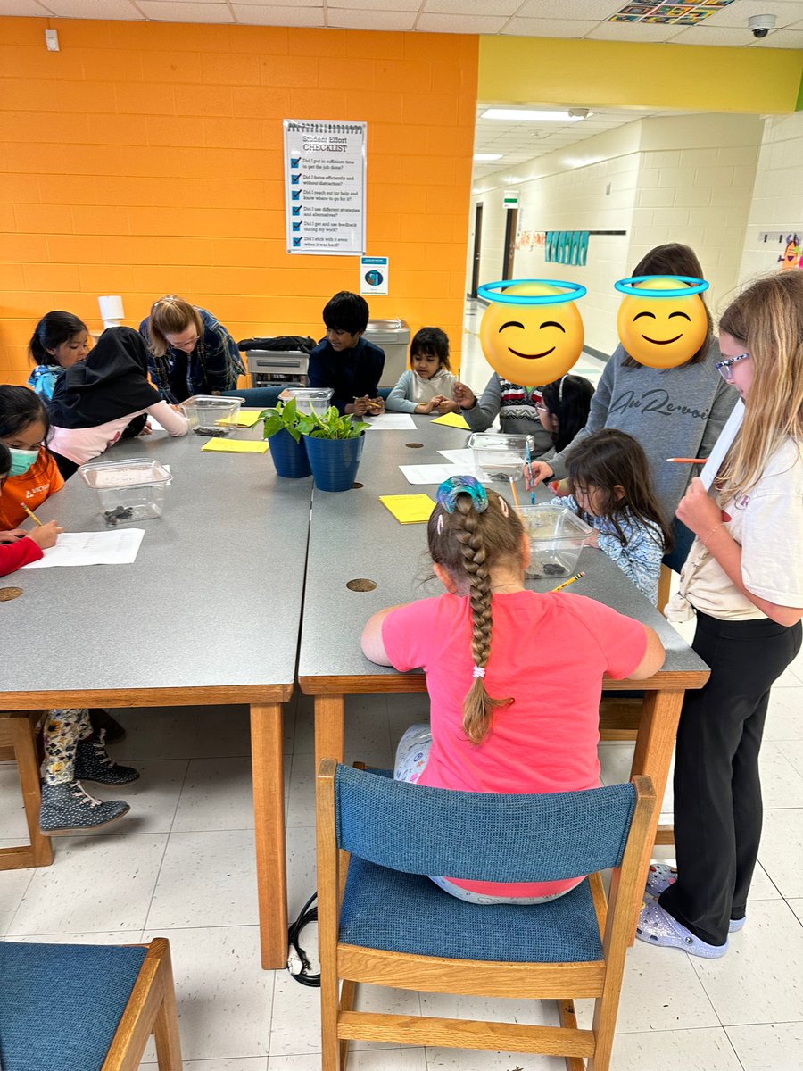 Such a fun science block learning about Millipedes and Bess Beetles from <a href="/angelaheinze1/">Mrs. Heinze</a> kiddos!  Talk about engagement from my firsties! Thanks <a href="/MrsWaltzer/">Mrs. W in 1st</a> for organizing this with <a href="/angelaheinze1/">Mrs. Heinze</a>! <a href="/SalemElementary/">Salem Elementary</a>