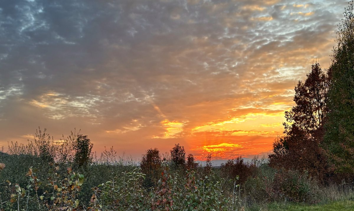 CandiceTrimble's tweet photo. I love when a sunset burns out the sky and changes perspective in seconds of time. Also love when scenery invokes poetry ✍️👋🌅😊✨ #VA #FrontRoyal @BobVanDillen @JimCantore @spann @sunset_wx @capitalweather @WeatherNation @weatherchannel @dougkammerer https://t.co/Ee2PZweFIx