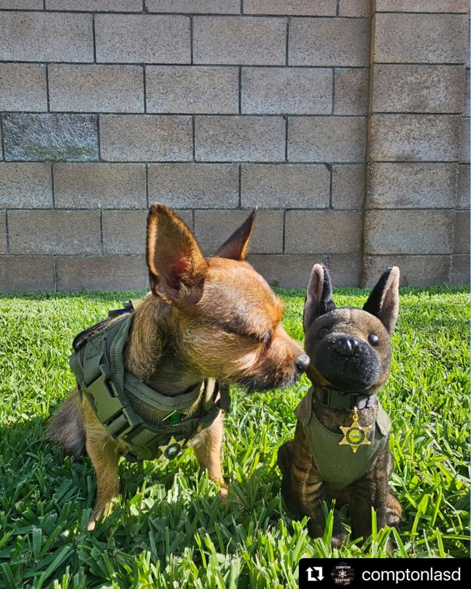 LASD Compton Station tweet media