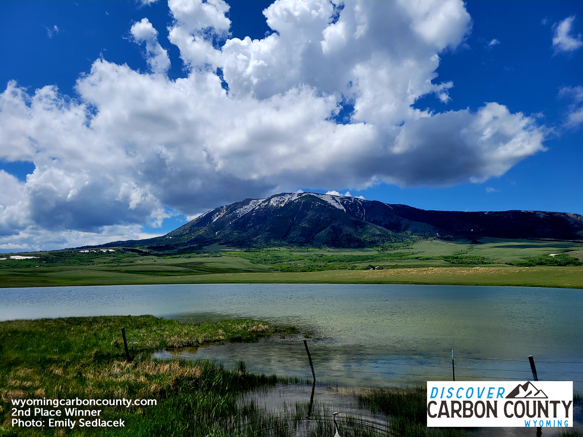 Discover Carbon County, WY tweet media