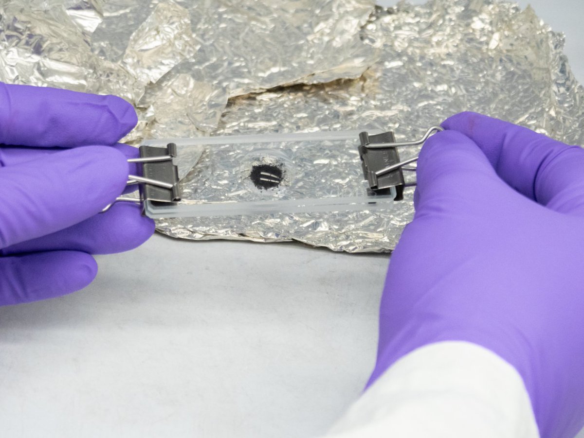 We received our first piece of asteroid Bennu!

Last week, Goddard’s Astrobiology Analytical Lab began searching the 4.5-billion-year-old rocks for amino acids. Finding these in the #OSIRISREx sample would add evidence that asteroids provided the building blocks of life to Earth.