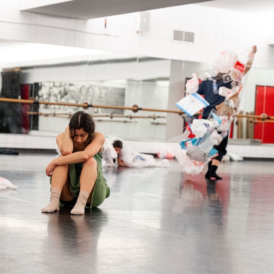 NC State Dance tweet media