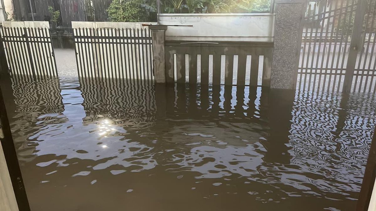 Đây có được gọi là tiền vào như nước không ạ...🦢🦢