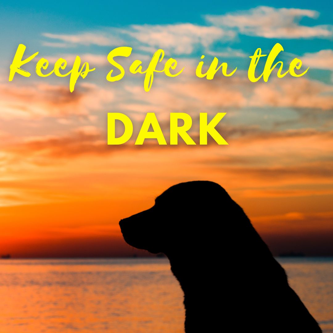 BroadreachN's tweet photo. As the nights draw in it's important to keep your pup safe in the dark. Take a look at our article on our website....
https://t.co/C8aDLSt3F2

#SafeInTheDark #PetSafety https://t.co/4xbwEEAHK4