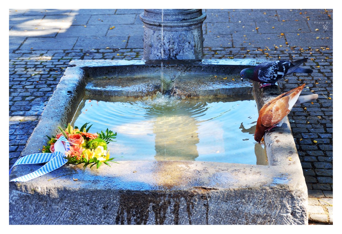 Power of Lights tweet media