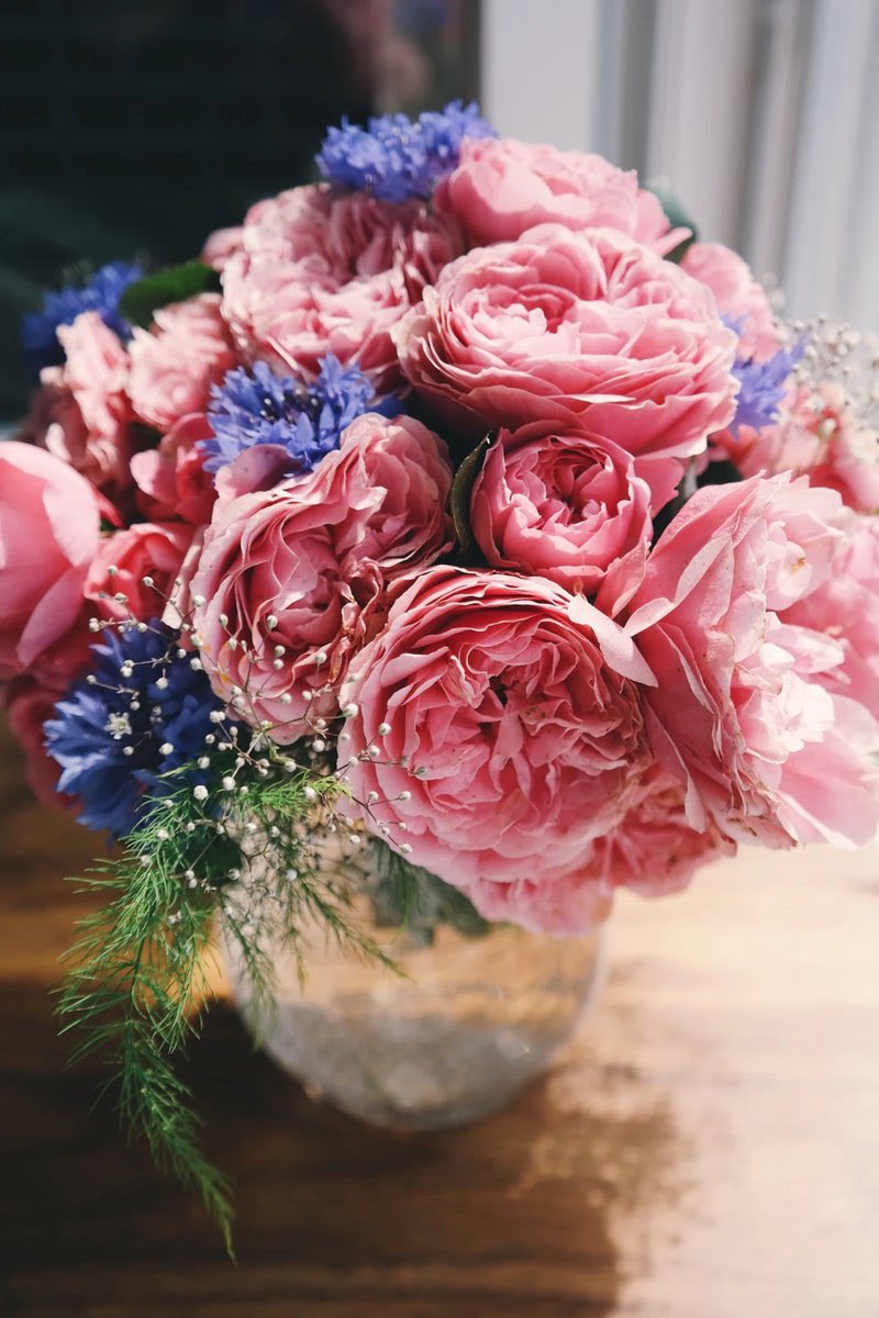 mihoshantisalon's tweet photo. Miho Shantiのブログご覧いただけましたかー？！

『シフトする方法』

ズバリ！
光の世界へシフトする方法をお伝えしています！

毎日のアファメーションにピッタリ✨

何度も読んでいただきたい内容です！

ブログはこちら▼
https://t.co/aXbz3sA6ew

Have a Happy day! https://t.co/KRsknoVxXA