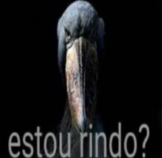 CascaoDoSuns's tweet photo. fala galerinha adm 1 vulgo jhonny passando pra falar que hoje eu joguei um torneio de basquete e ficamos em 2° 🥈

alias, hoje tem suns ein... https://t.co/pKea03SWl5