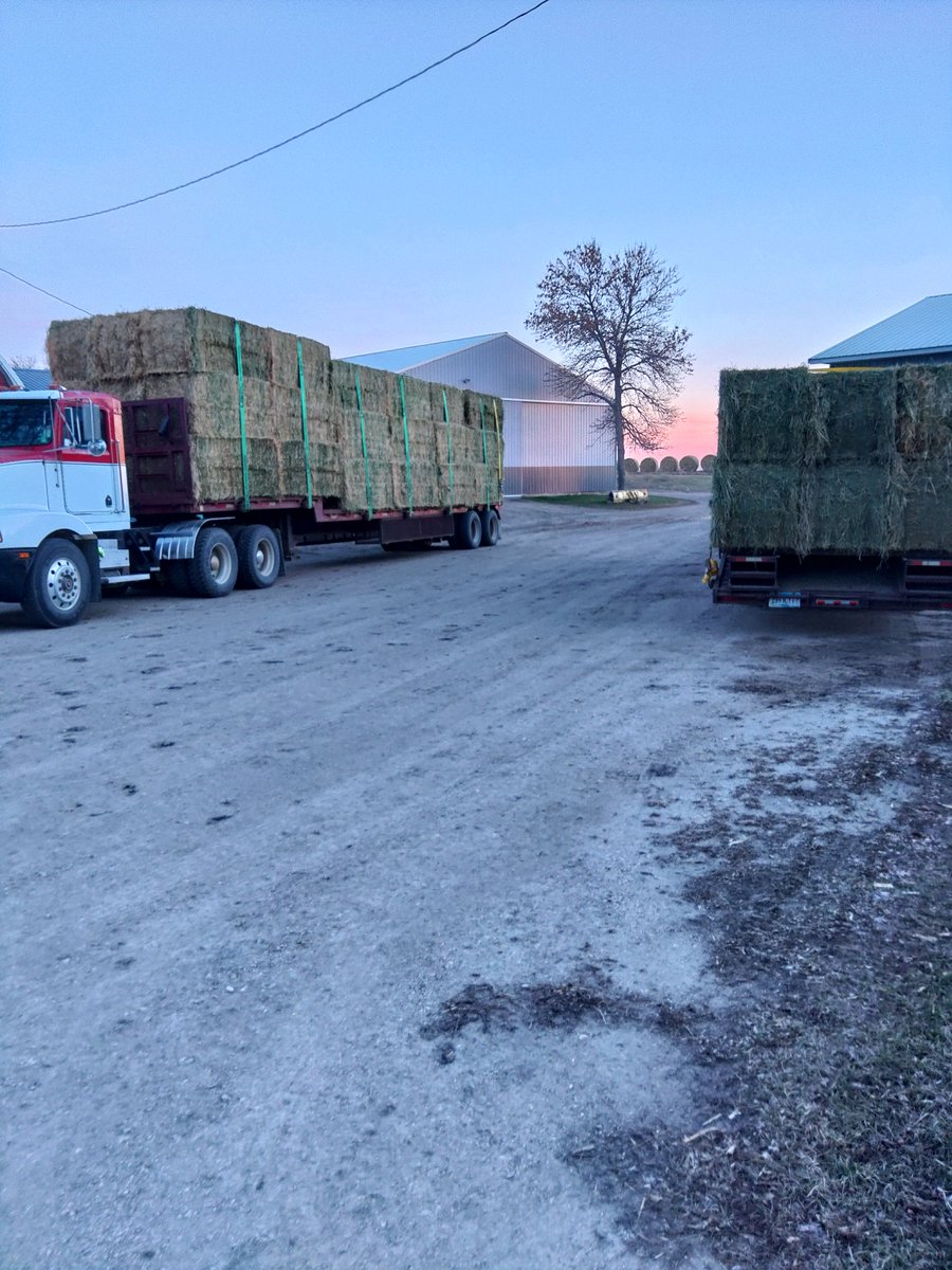 Off to the Hay auction in the morning 🌄