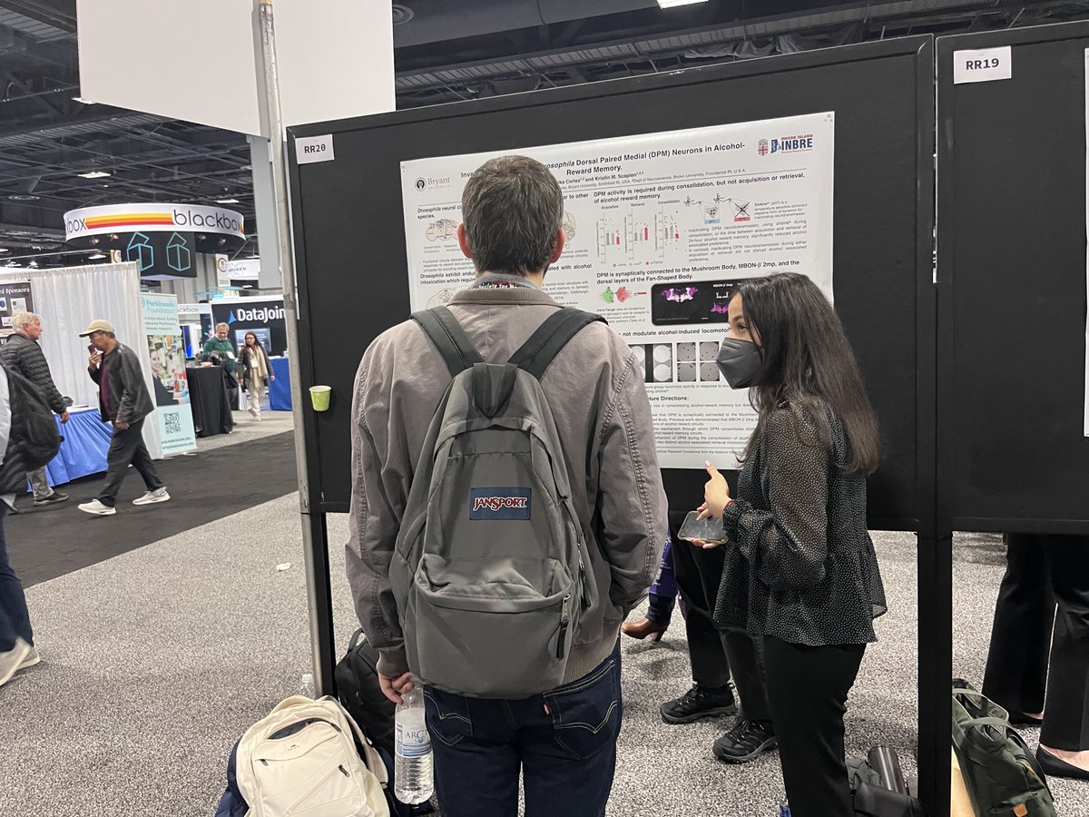Kristin Scaplen (@kristinscaplen) on Twitter photo That's a wrap! Erika Cortez and Katelyn Caldarone did an amazing job representing the Scaplen Lab at #SfN2023 Huge congrats to <a href="/BryantUniv/">Bryant University</a> Katelyn for winning the <a href="/FUNfaculty/">Faculty for Undergraduate Neuroscience</a> travel award. Grad Schools watch out- these two are rising stars. Until next year! That's a wrap! Erika Cortez and Katelyn Caldarone did an amazing job representing the Scaplen Lab at #SfN2023 Huge congrats to <a href="/BryantUniv/">Bryant University</a> Katelyn for winning the <a href="/FUNfaculty/">Faculty for Undergraduate Neuroscience</a> travel award. Grad Schools watch out- these two are rising stars. Until next year!