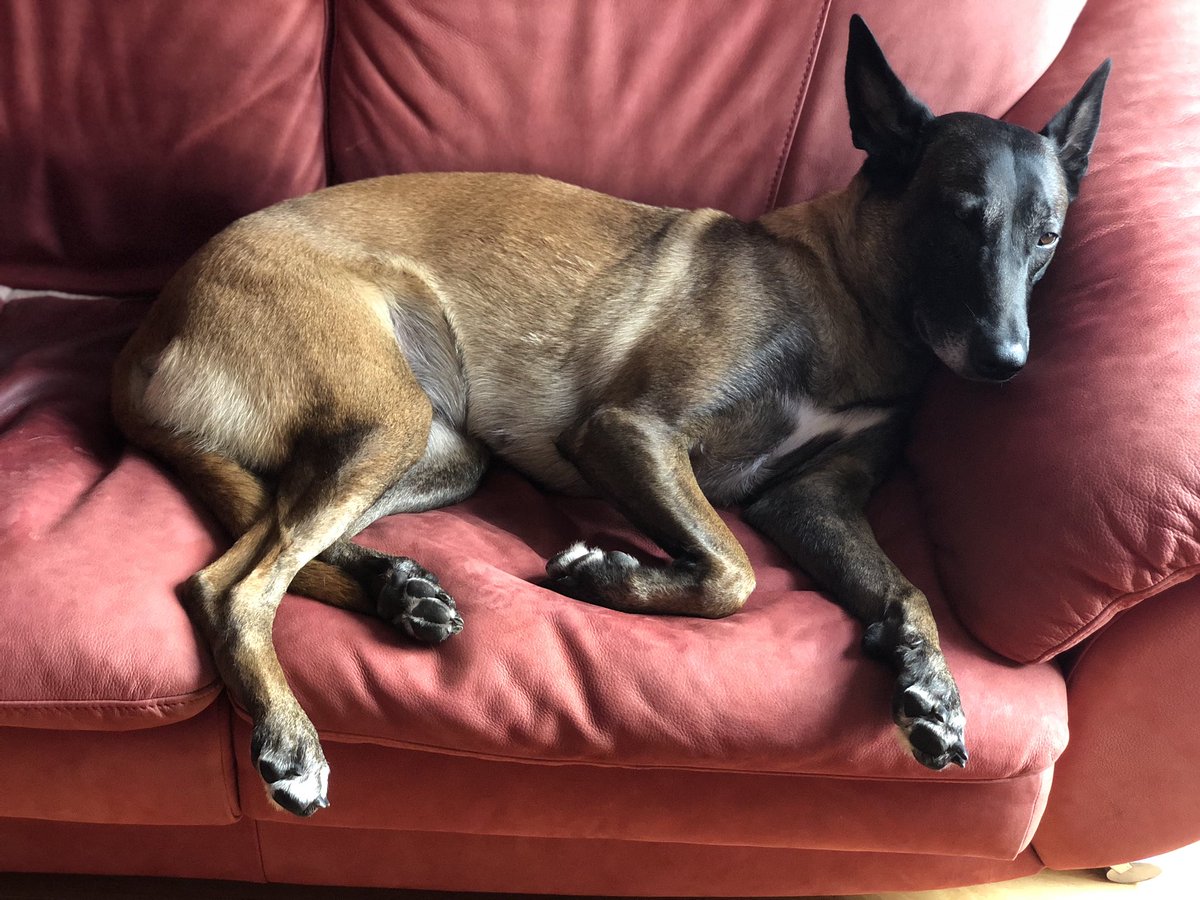 Michael Roytman tweet media