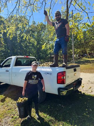 BlackWalnuts's tweet photo. A huge THANK YOU to all who participated in this year's Harvest!  We would not be here without all of our hardworking hullers &amp; the communities across the Ozarks &amp; Midwest that collect &amp; turn in their #blackwalnuts each year.

#blackwalnutharvest #wildfoods #handharvested https://t.co/2bq8TxxnJV
