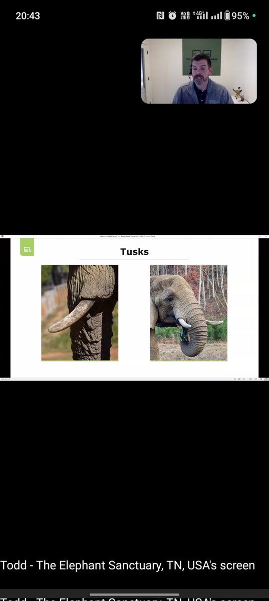 Wonderful skype session with Todd on The Elephant Sanctuary  <a href="/pkdhillon08/">ParamjeetKaurDhillon</a> <a href="/charuchhabra2/">Dr. Charu Chhabra</a> <a href="/maltiduggal/">Malti Duggal</a> @Eshabhalla1 <a href="/priya22569691/">priya</a> <a href="/SeemaDutt9/">Seema Dutt</a> <a href="/kusamroslin/">Kusamroslin</a>